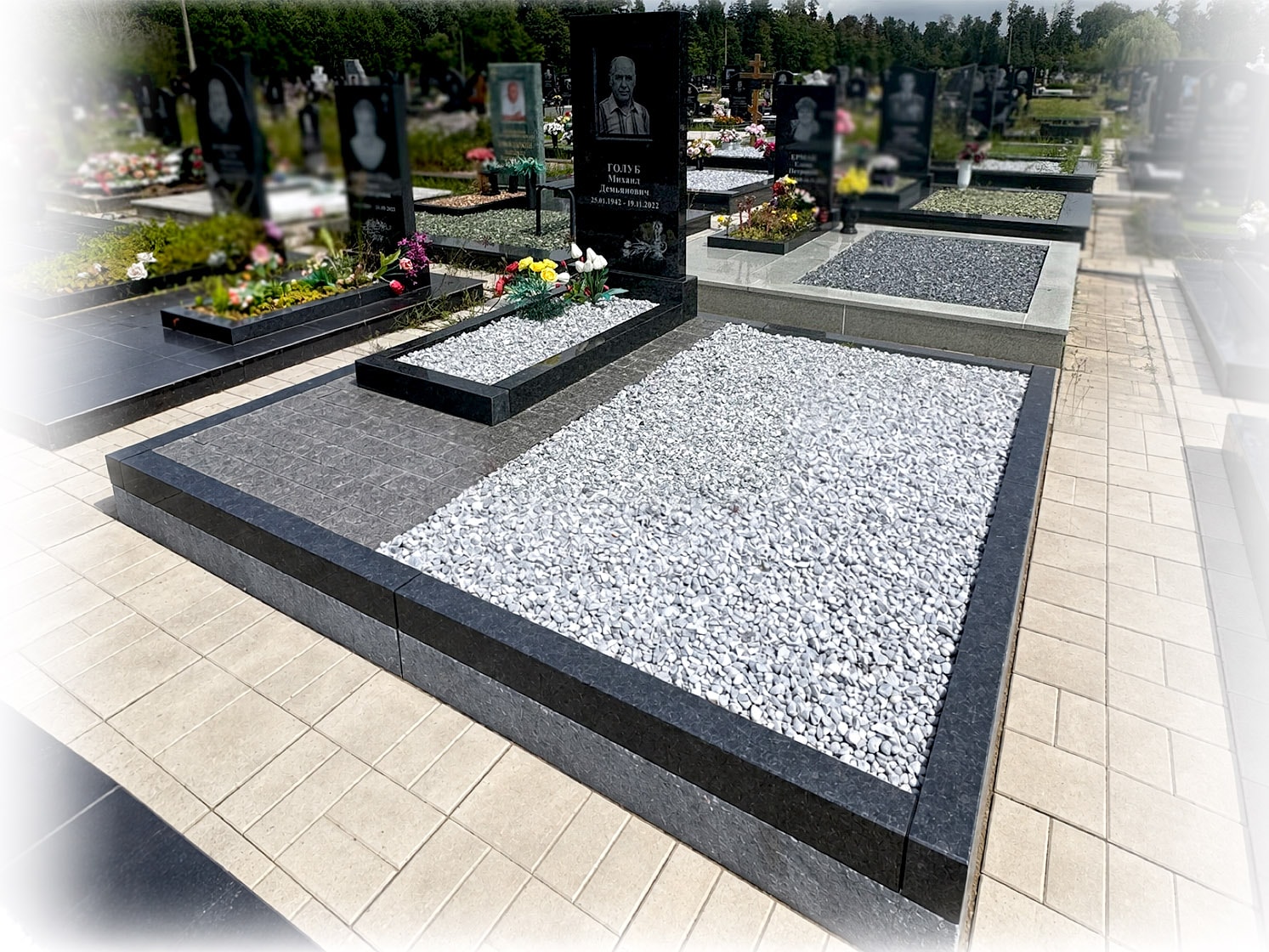 Д23-25 Голуб 1ген